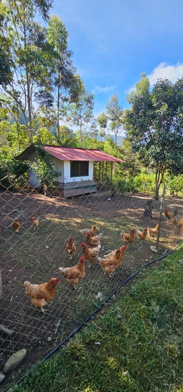 Hassinger Ranch Cabanas Oxapampa Zewnętrze zdjęcie
