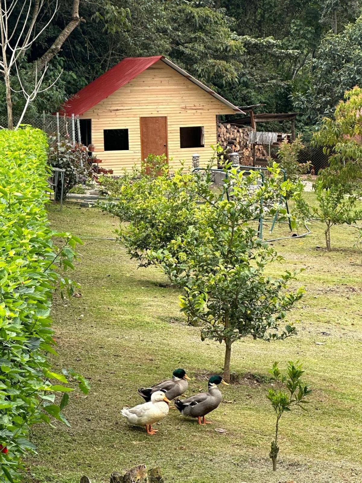 Hassinger Ranch Cabanas Oxapampa Zewnętrze zdjęcie